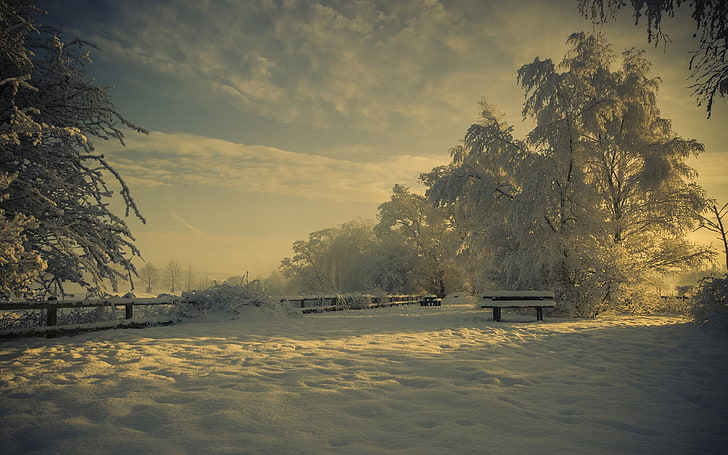 snow covered land and trees, glade, snow, winter, trees, hoarfrost, bench, snowdrifts, light, shadows, HD wallpaper