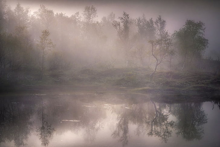 Natur, Landschaft, Nebel, See, Wald, Wasser, Reflexion, Bäume, ruhiges Wasser, HD-Hintergrundbild