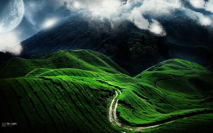 green mountain, road, fields, strips, green, bends, relief, HD wallpaper