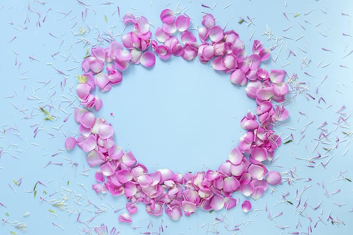 flowers, background, pink, blue, roses, petals, rose, buds, HD wallpaper