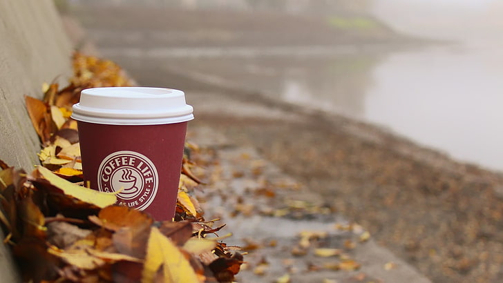 бордовая кофейная чашка, кофейная чашка жизни, окруженная осенними листьями, осень, листья, кофе, чашка, вода, HD обои
