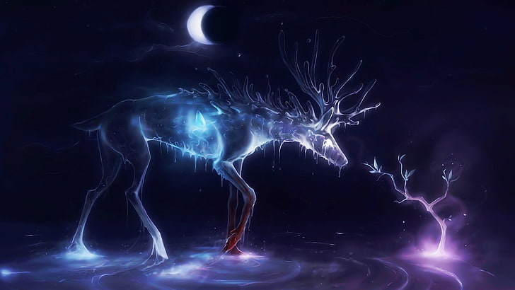 deer, crescent moon, glowing, animals, artwork, night, ripples, antlers, HD wallpaper