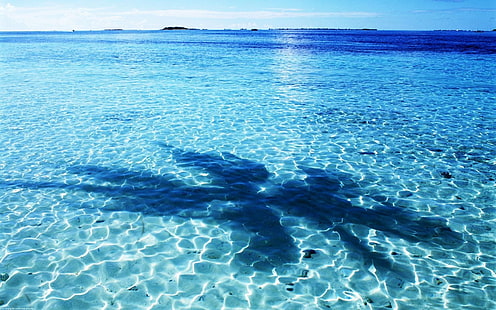 ภาพพื้นหลังเดสก์ทอปมหาสมุทร, วอลล์เปเปอร์ HD HD wallpaper