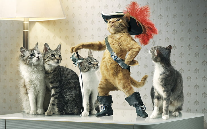 Puss in Boots, cat, animals, Puss in Boots, Raiden, HD wallpaper