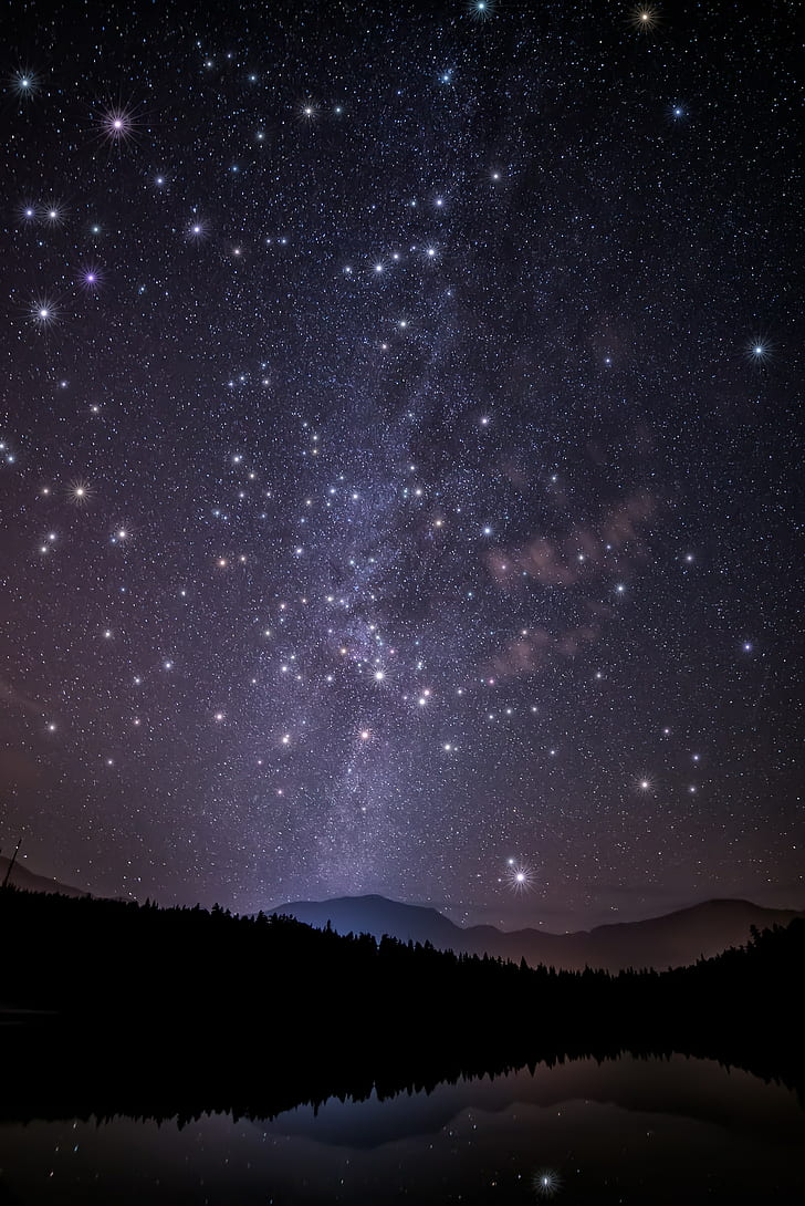 céu estrelado, árvores, montanhas, noite, estrelas, floresta, brilho, céu, HD papel de parede, papel de parede de celular