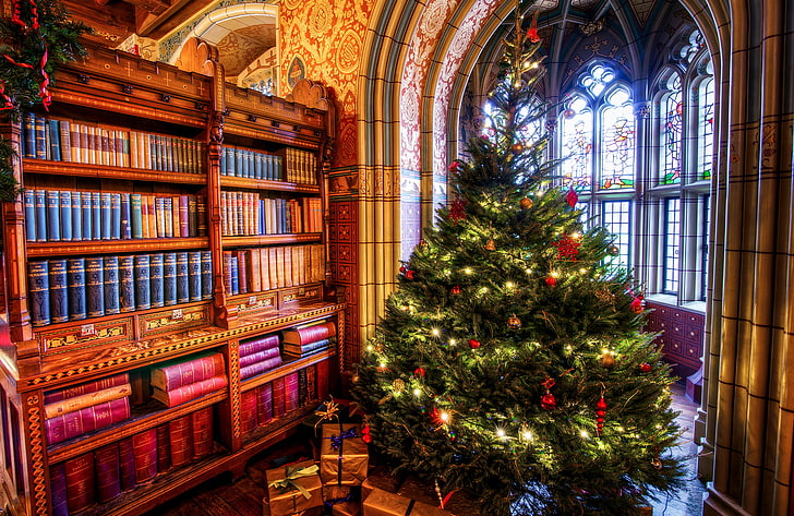 clipart arbre de Noël vert, salle, livres, arbre, fenêtre, Noël, cadeaux, voûte, nouvel an, garde-robe, vacances, peinture murale, Fond d'écran HD