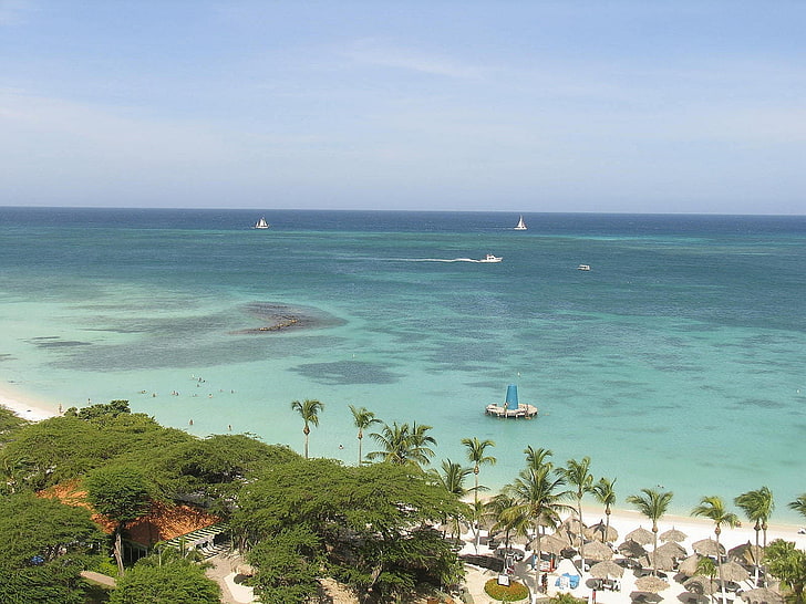 landscape photography of trees on seashore, island, water, Aruba, palm trees, coast, beach, sea, HD wallpaper