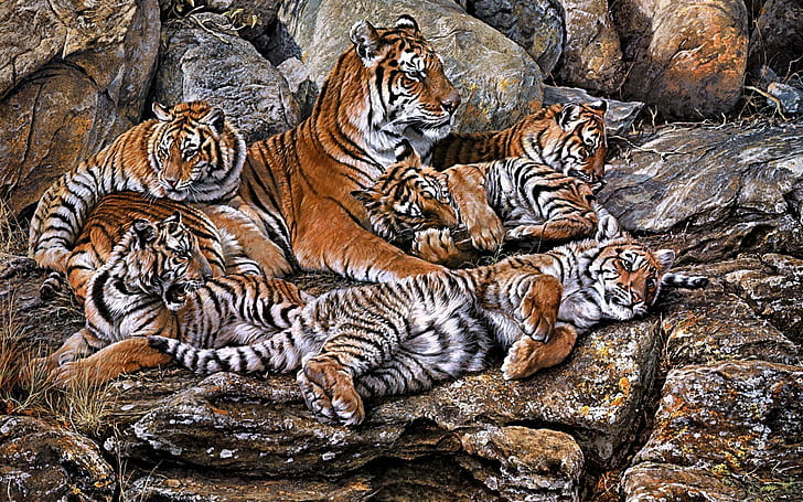 djur, konst, spädbarn, katter, ungar, mor, målning, rovdjur, tiger, HD tapet
