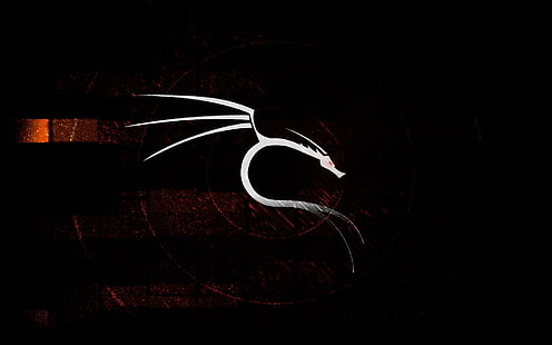 흰 날개 달린 용 로고, 흰색, 배경, 검은, 용, 새해, 2012, 오는, BackTrack Linux, HD 배경 화면 HD wallpaper