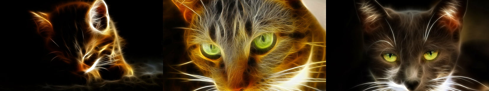 حيوان ، قطة ، ضوء ، رصد ، متعدد ، شاشة متعددة ، ثلاثية، خلفية HD HD wallpaper