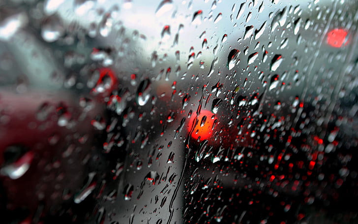 Frischer Regen Tropfen, Regen, Wasser, Tropfen, HD-Hintergrundbild