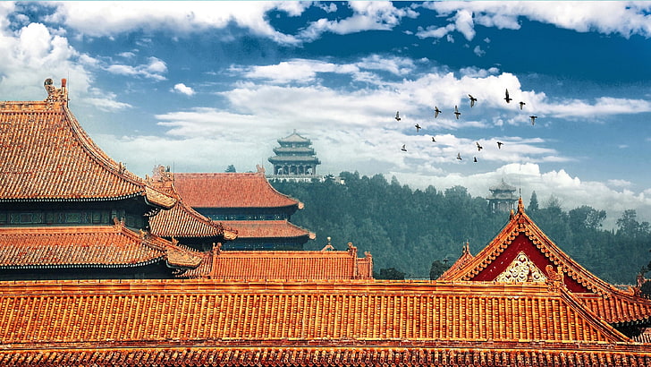 замък, забранен град, Пекин, покрив, Китай, Азия, небе, птици, HD тапет