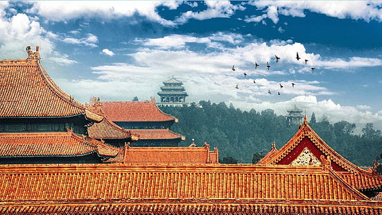 castle, forbidden city, beijing, roof, china, asia, sky, birds, HD wallpaper HD wallpaper
