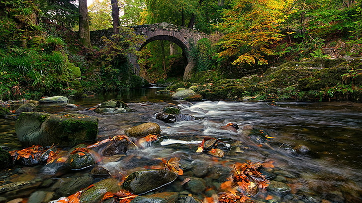 أيرلندا ، حديقة غابات tollymore ، حديقة ، جسر ، جسر فويلز ، نهر شيمنا ، حديقة الغابات ، بريطانيا العظمى ، المملكة المتحدة ، الجسر الحجري ، جسر المشاة ، المناظر الطبيعية للخريف ، الخريف ، النهر، خلفية HD