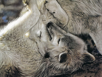 животные собаки Wolfs Love Animals Dogs HD Art, животное, собаки, двое, волк, серый, HD обои HD wallpaper
