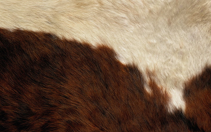 white and brown animal fur, wool, fur, smooth, surface, HD wallpaper