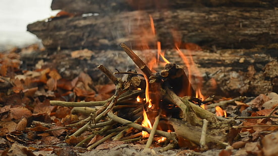 campfire, fire, nature, fall, HD wallpaper HD wallpaper