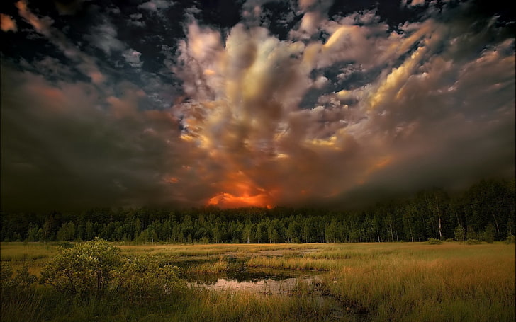 ธรรมชาติต้นไม้พระอาทิตย์ตกป่าเมฆทิวทัศน์น้ำพืชท้องฟ้า, วอลล์เปเปอร์ HD