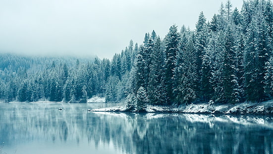 зелени борови дървета и водно тяло, зелени борови дървета до водно тяло, сняг, езеро, природа, дълбочина на полето, дървета, зима, пейзаж, вода, отражение, тюркоаз, HD тапет HD wallpaper