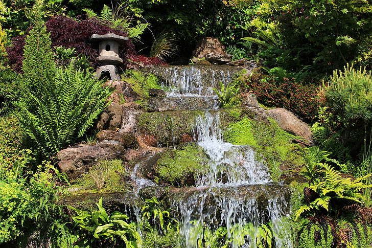 greens, stream, waterfall, garden, UK, Mount Pleasant garden, Kelsall, HD wallpaper