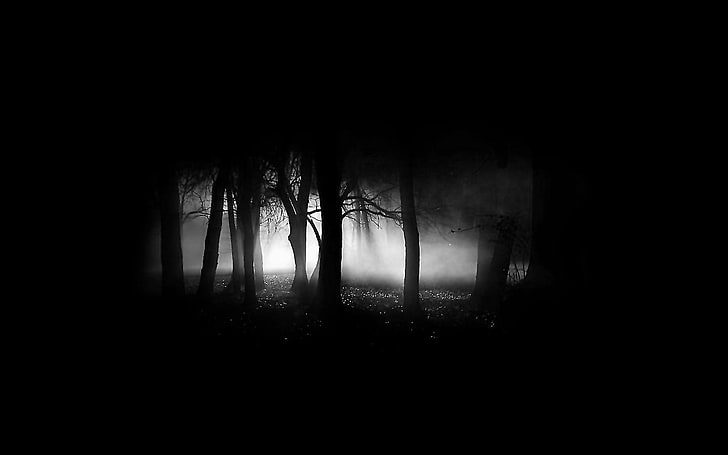 silhouette of forest, forest, black, dark, mist, trees, simple, black background, HD wallpaper