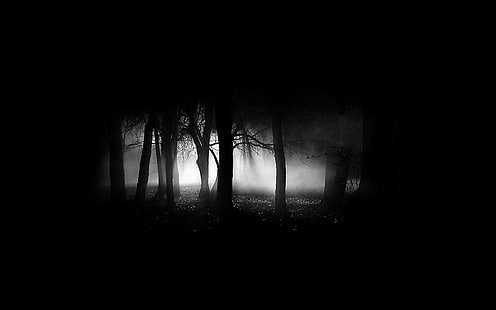 silueta de bosque, bosque, negro, oscuro, niebla, árboles, simple, fondo negro, Fondo de pantalla HD HD wallpaper