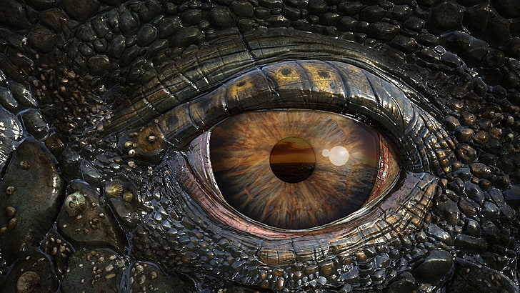 Filme, Sea Rex 3D: Viagem a um mundo pré-histórico, Animal, Close-up, Crocodilo, Olho, Réptil, Vida selvagem, HD papel de parede