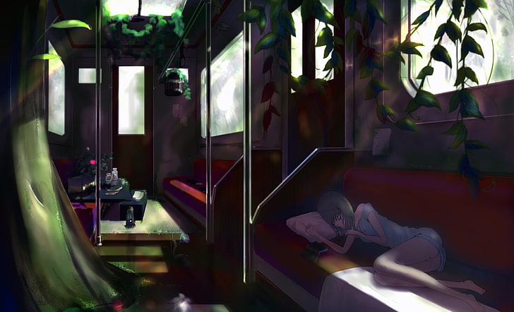 girl sleeping illustration, flower, girl, train, roses, plants, cell, anime, art, the car, lies, pillow, book, kikivi, HD wallpaper