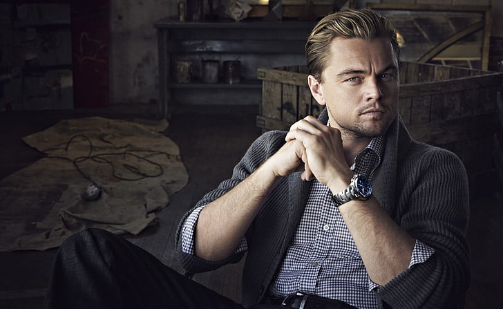 Leonardo DiCaprio 2014, Leonardo Di Caprio, Film, Lainnya, leonardo dicaprio, Wallpaper HD
