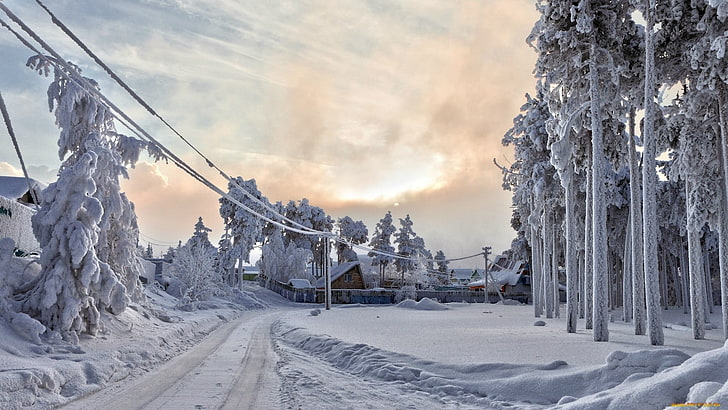 winter, landscape, snow, trees, HD wallpaper