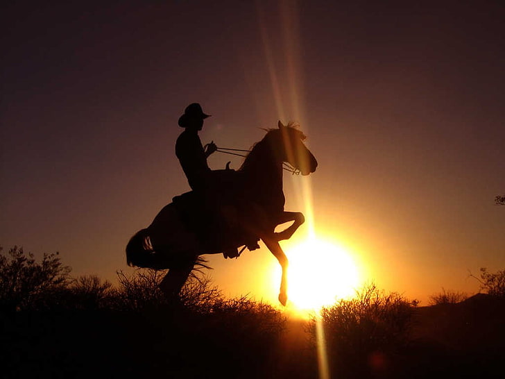 silueta del hombre montando a caballo, puesta de sol, vaqueros, caballo, silueta, rayos de sol, Fondo de pantalla HD