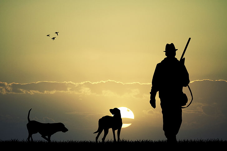 silhouette of man and two dogs, dogs, the sky, sunset, nature, two, duck, plain, silhouette, hunting, the gun, rifle, hunter, wallpaper., beautiful background, HD wallpaper