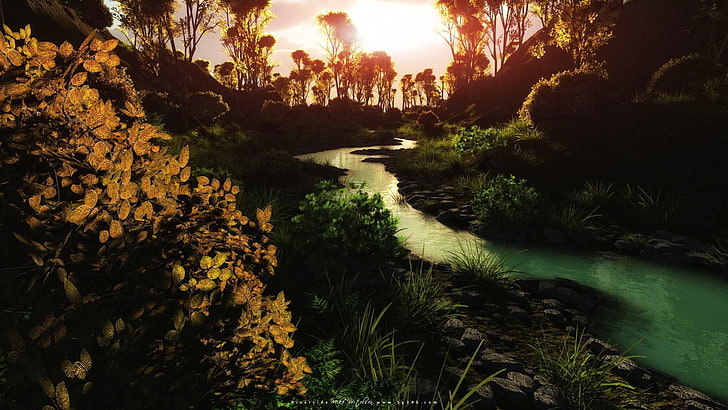 paysage, ruisseau, feuilles, Fond d'écran HD