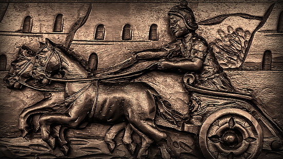 Bild Pferd, HD-Hintergrundbild HD wallpaper