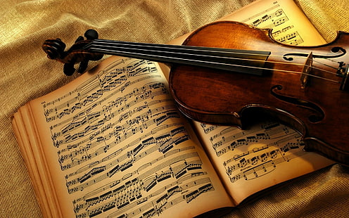 violín, música, notas musicales, instrumento musical, Fondo de pantalla HD HD wallpaper