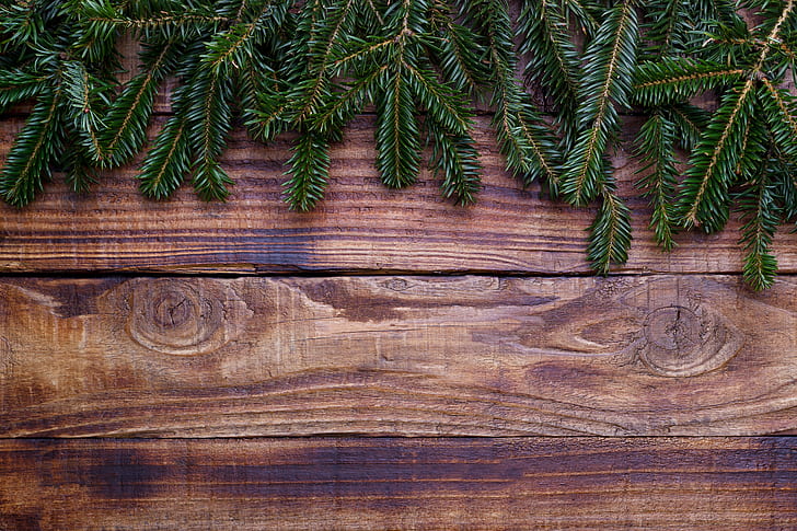 background, tree, Board, Christmas, wood, fir tree, fir-tree branches, HD wallpaper