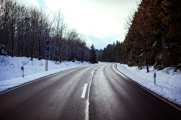 път, зима, сняг, дървета, HD тапет