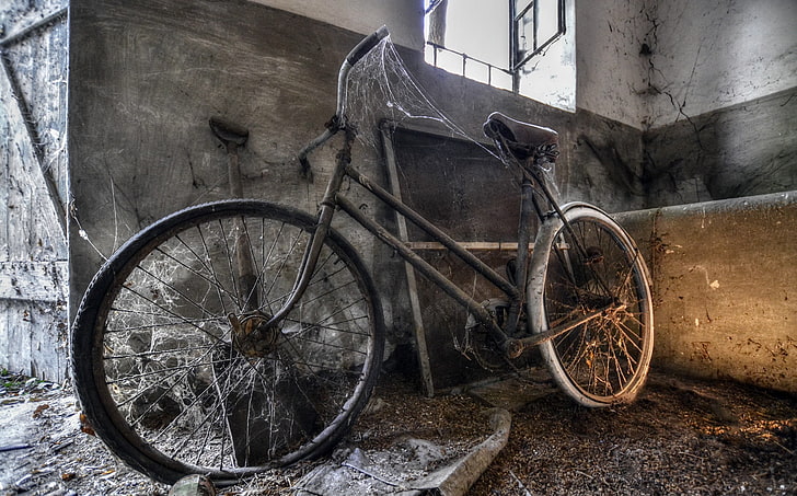 wreck, vehicle, old, spiderwebs, bicycle, HD wallpaper