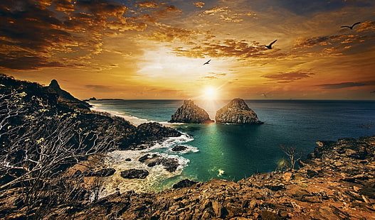 brazil, Coast, landscape, HD wallpaper HD wallpaper