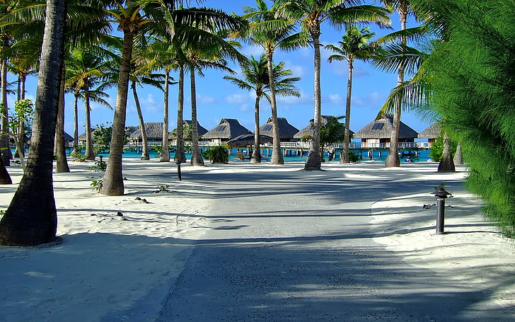 plaj bora bora Resort Yolu Doğa Plajları HD Sanat, plaj, Cennet, tropikal, bora bora, HD masaüstü duvar kağıdı