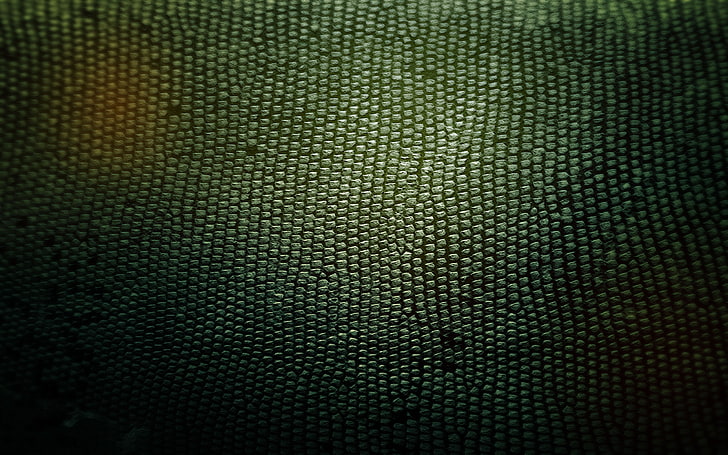 snakes textures skin 2560x1600  Abstract Textures HD Art , textures, snakes, HD wallpaper
