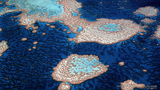 Vista aérea da Grande Barreira de Corais, Queensland, Austrália, Oceania, HD papel de parede HD wallpaper