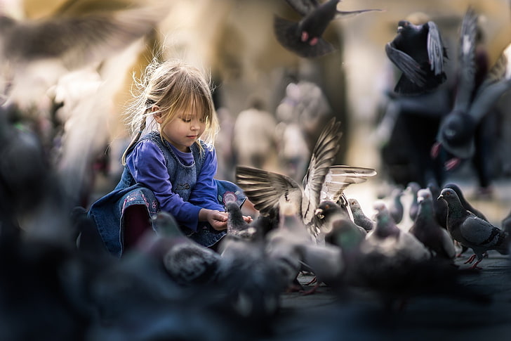 little girl, birds, HD wallpaper