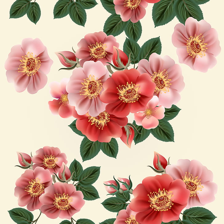 bunga, bunga, coloful, Wallpaper HD