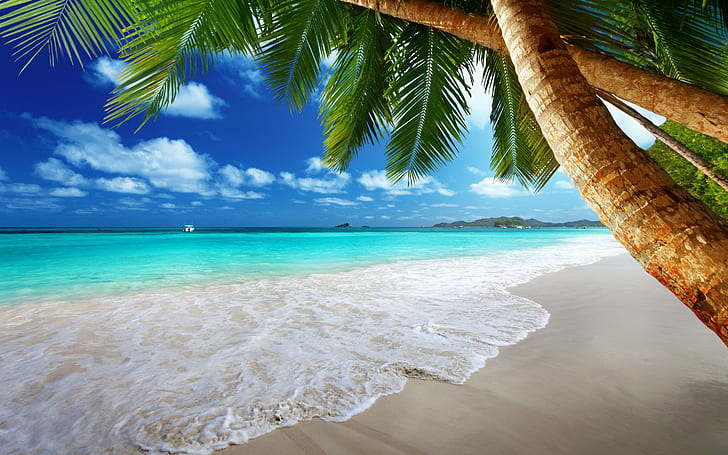 Paradis tropical sur la plage, tropical, paradis, plage, côte, mer, bleu, émeraude, océan, palmier, été, sable, vacances, Fond d'écran HD