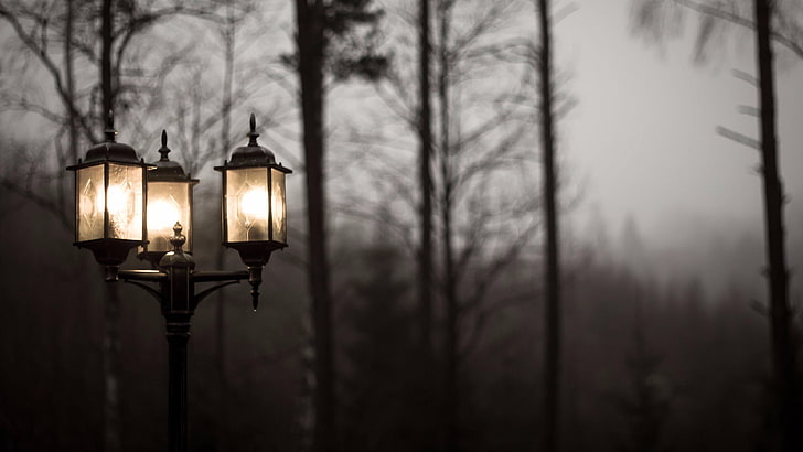 здрач, клон, тъмнина, осветление, здрач, вечер, зима, светлина, дърво, стълб за лампа, улично осветление, улично осветление, мъгла, мъгла, мъглив, мъглив, мрачен, улична лампа, HD тапет