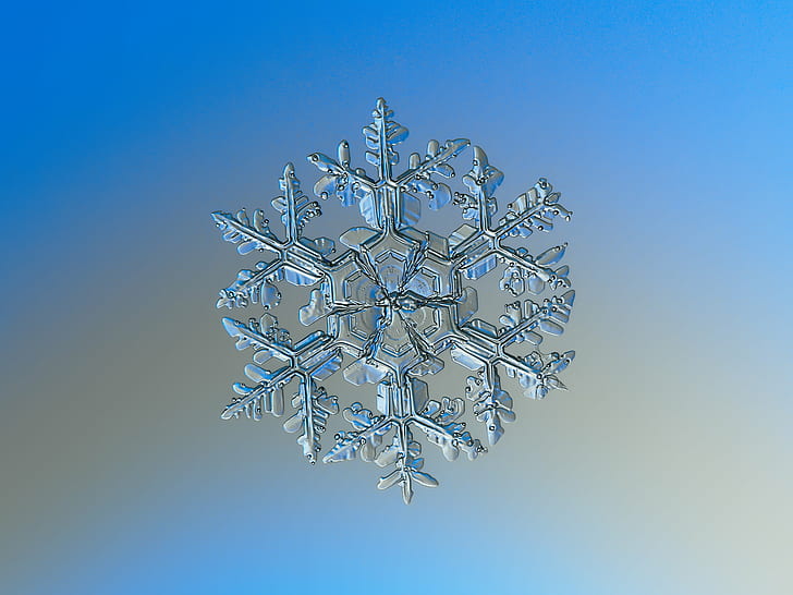 selective photo of snowflakes, Snowflake, macro, gardener, dream, explore, selective, photo, snowflakes, snow  crystal, crystal  symmetry, outdoor, winter, cold, frost, natural, ice, closeup, transparent, hexagon, magnified, details, shape, christmas, sign, symbol, season, seasonal, fine, elegant, ornate, beauty, beautiful, north, decor, isolated, clear, unique, decorated, light, lighting, fragile, fragility, structure, background, flake, frosty, pattern, weather, icy, microscopic, ornament, decoration, abstract, shiny, glitter, sparkle, design, volumetric, storm, new year, dendrite, backgrounds, blue, snow, frozen, HD wallpaper
