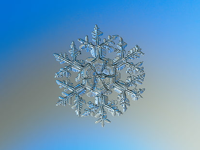 selective photo of snowflakes, Snowflake, macro, gardener, dream, explore, selective, photo, snowflakes, snow  crystal, crystal  symmetry, outdoor, winter, cold, frost, natural, ice, closeup, transparent, hexagon, magnified, details, shape, christmas, sign, symbol, season, seasonal, fine, elegant, ornate, beauty, beautiful, north, decor, isolated, clear, unique, decorated, light, lighting, fragile, fragility, structure, background, flake, frosty, pattern, weather, icy, microscopic, ornament, decoration, abstract, shiny, glitter, sparkle, design, volumetric, storm, new year, dendrite, backgrounds, blue, snow, frozen, HD wallpaper HD wallpaper