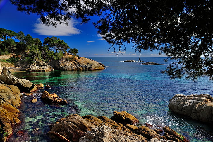 branches, stones, coast, Spain, Catalonia, The Mediterranean sea, Costa Brava, Castell-Platja d'aro, HD wallpaper