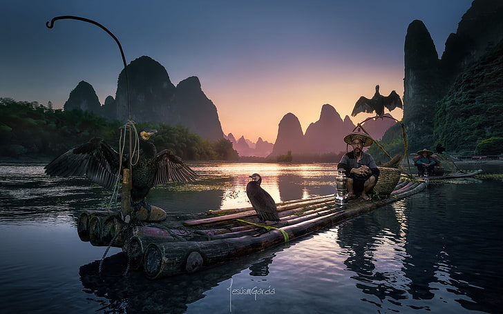 oiseaux, rivière, gens, bateau, bateaux, Chine, pêcheurs, radeau, cormorans, district Guangxi Joins, Fond d'écran HD